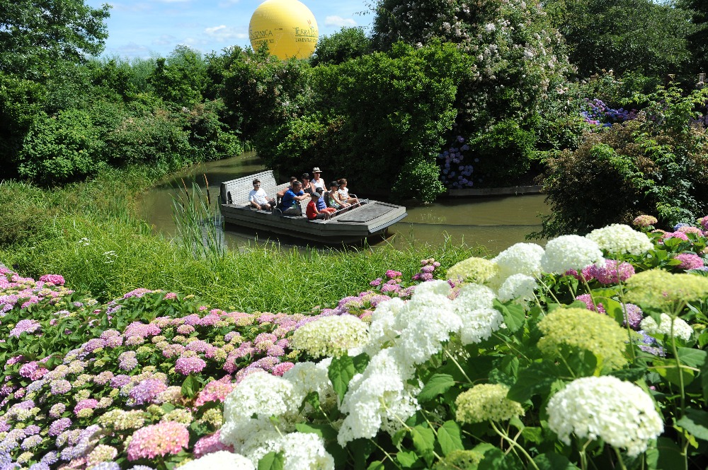 Sejour-amp-Voyages-Pays-de-la-Loire-Maine-et-Loire-Parc-a-theme-vegetal-Terra-Botanica781315203539424371.jpg